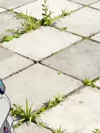 Путь эволюции - Episode 28