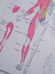 Who Is the Plagiarist - Episode 5