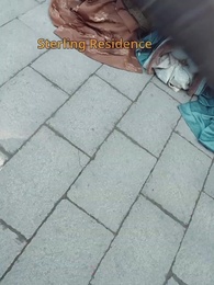 Episode 27 - [Dubbed]Throne and Kin