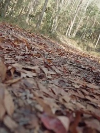 [Dubbed]Throne and Kin - Episode 60