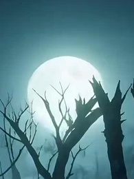 Episodio 1 - Amo a mi Esposa, Odio a los Dioses