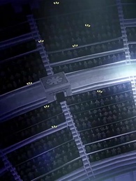 [Dubbed]From D-Class Trash to Primordial King - Episode 50