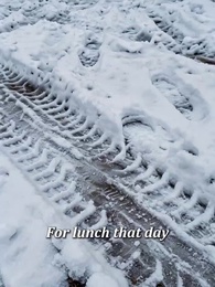 Fate’s Lingering Echo - Episode 7