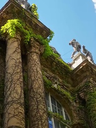 Episodio 19 - [Doblado]Marcada por 4 Hermanos Alfa