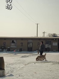 第55集 - 重生86：契約土狗，承包興安嶺