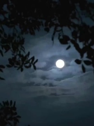 Episode 40 - Gantian Aku yang Mencintaimu