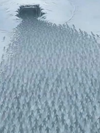 Casero de mutantes clase S - Episode 69