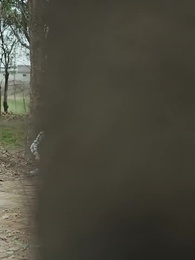 第52集 - 老太重生八零！扶孝子贏回全家運