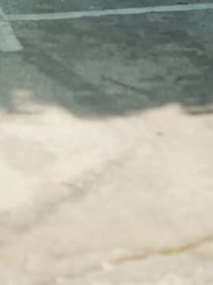 [Lồng Tiếng] Hành Trình Tìm Bạn Đời - Episode 33