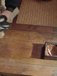 重生86：契約土狗，承包興安嶺 - Episode 21