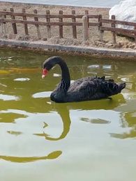 A Life of Her Own - Episode 16