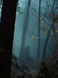 第5集 - 一睜眼,偏執太子奪我入東宮