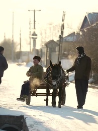 重生86：契約土狗，承包興安嶺 - Episode 33