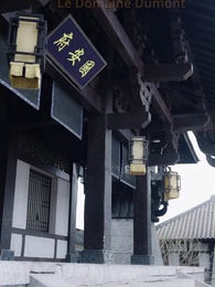 Épisode 45 - Revanche d’une Médecin Trahie