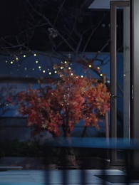 不與青山辭 - Episode 54