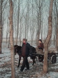 第27集 - 重生86:契約土狗,承包興安嶺