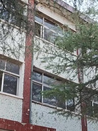 第60集 - 老太重生八零！扶孝子贏回全家運