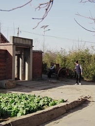 老太重生八零！扶孝子贏回全家運 - Episode 64