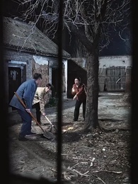 第41集 - 老太重生八零！扶孝子贏回全家運