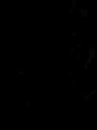 ทุกคนวิวัฒนาการ งั้นฉันขอคืนสู่ต้นกำเนิด - Episode 26