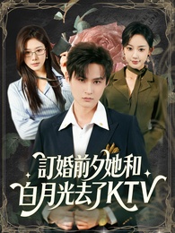 訂婚前夕她和白月光去了KTV