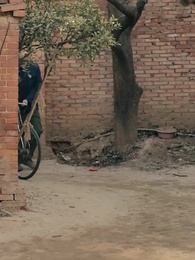 第15集 - 重返1987，反手強娶小嬌妻