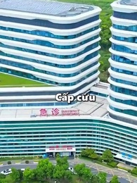 Tập 2 - Sự Hối Hận Muộn Màng