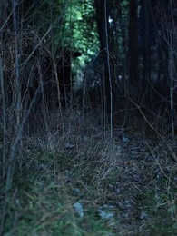 重生1980:漂亮媳婦會算卦 - Episode 31