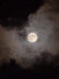 訂婚前夕她和白月光去了KTV - Episode 26