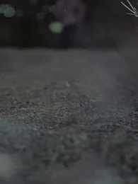 第22集 - 重返1987，反手強娶小嬌妻