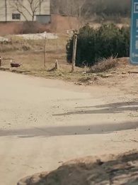 第29集 - 重返1987，反手強娶小嬌妻