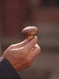 重生1980:漂亮媳婦會算卦 - Episode 50