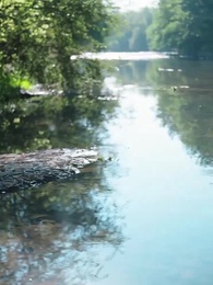 臉有多大，旺子孫的福崽你都敢扔 - Episode 80