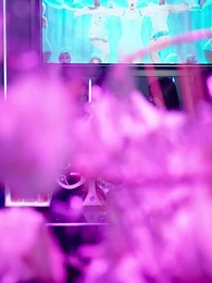 淪落街頭:你真當我是乞丐 - Episode 19