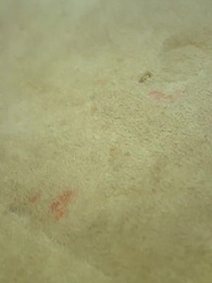 [Doublé]Le Père fâché - Episode 19