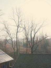 重生1980：漂亮媳婦會算卦 - Episode 1