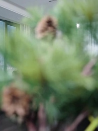 淪落街頭:你真當我是乞丐 - Episode 27