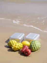 季風環流 - Episode 4