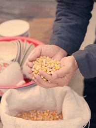 重生1980：漂亮媳婦會算卦 - Episode 23