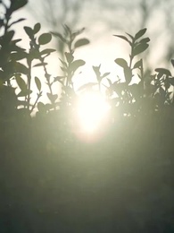 穿成炮灰後,靠心機上位 - Episode 20