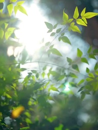 穿成炮灰後，靠心機上位 - Episode 62