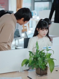 第9集 - 重逢後，高冷裴總紅著眼拉我領證