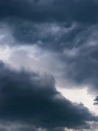 第1集 - 畢業不應聘，擺攤去算命