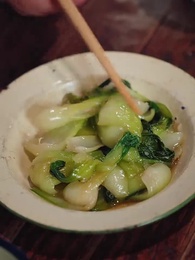 第29集 - 養子無恩,我以重生謀新生