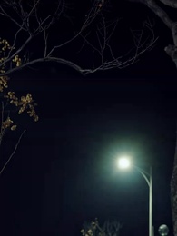 第16集 - 真千金她一心事業