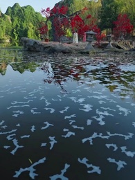 Episode 14 - Kembali Padamu