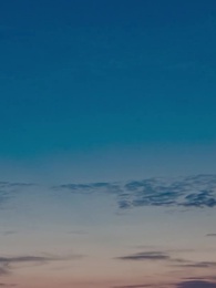 撿漏鑑寶,我能鑑定萬物 - Episode 38