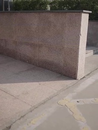 天降小錦鯉 - Episode 49