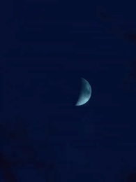 第62集 - 穿回六零：從喫飽飯到廠長老總