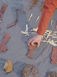 畢業不應聘,擺攤去算命 - Episode 78